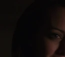 Root