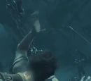 Armada of the Damned