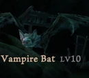 Vampire Bat