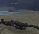 Giant Crab