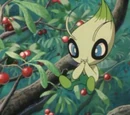Celebi