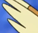 Solidad's Pidgeot