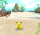 Beach Zone