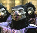 Tengu Warriors
