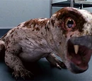 Diictodon