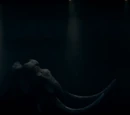 Menagerie