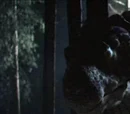 Scutosaurus
