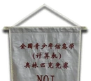 National Olympiad in Informatics, China
