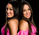 Bella Twins/Event history