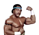 Ron Simmons
