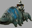Gelagrub