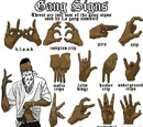 Gang Signs