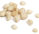Macadamia nut
