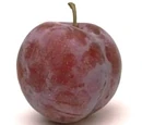Backpflaume
