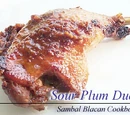Sour Plum Grilled Duck