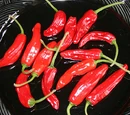 Onza roja chile
