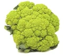 Inflorescent vegetables