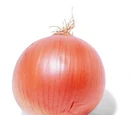 Sweet onion