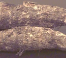 Malanga