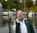 Bluefish