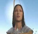 Falling Star