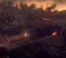 Nature of the Beast