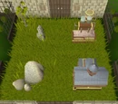 Jungle habitat