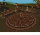 Combat Academy