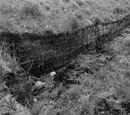 Upland peat bogs in the UK