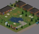 Bear Essentials Lodge