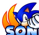 Sonic the Fighters