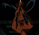 Peter Parker (Earth-8096)