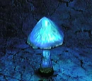 Blue GrubTub Fungus