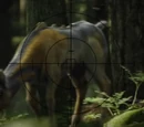 Space deer