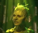 Borg history