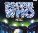 Matrix (novel)