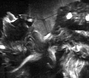 The Web of Fear (TV story)