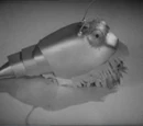 Cybermat
