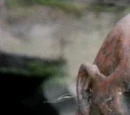 The Time Warrior (TV story)