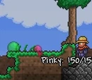 Pinky
