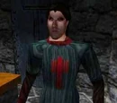 Hammerite Novice