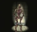 Characters - Undead