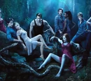 Season 3