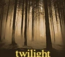 Twilight in Forks