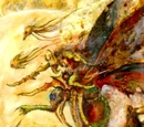 Rot Fly