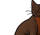 Robinwing (TC)