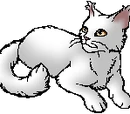 Whitestorm
