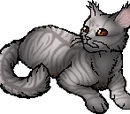 Tawnyspots