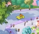 Pixie Plaza