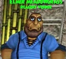 Elmer Meadowgrass